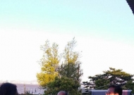 Ação realizada no Catamarã