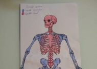 Anatomia e Fisiologia Humanas-LEF 0616