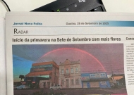 Polo Guaíba - Primavera na Sete de Setembro: flores que anunciam mais que uma estação