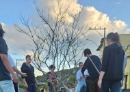 Polo Guaíba - Primavera na Sete de Setembro: flores que anunciam mais que uma estação