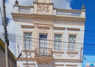 Polo Guaíba - Primavera na Sete de Setembro: flores que anunciam mais que uma estação